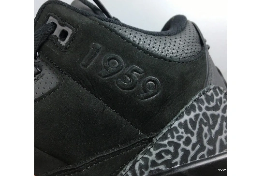 Jordan Oregon Retro Air 3 AJ3-902027 AJ3-902027 Duck 0410